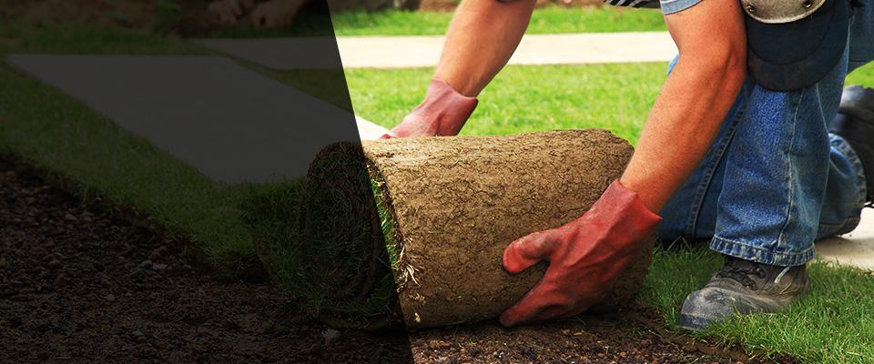 Elkridge Landscapers